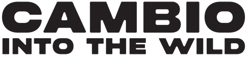 Cambio