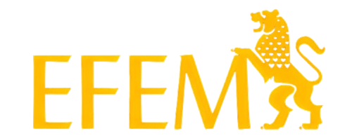 EFEM