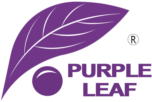 Purple Leaf