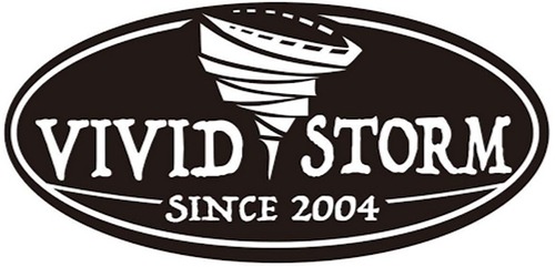 VIVIDSTORM