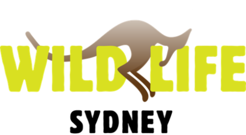 WILD LIFE Sydney Zoo