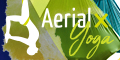 AerialX