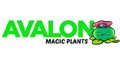 Avalon Magic Plants