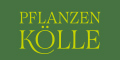 Pflanzen Kölle